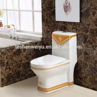 One Piece Structure and Floor Mounted Installation Type rimless toilet