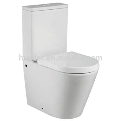 Sanitary ware washdown two piece wc toilet